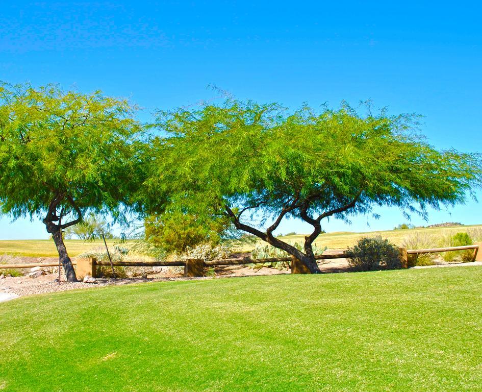 Gold Canyon Golf Resort Værelse billede